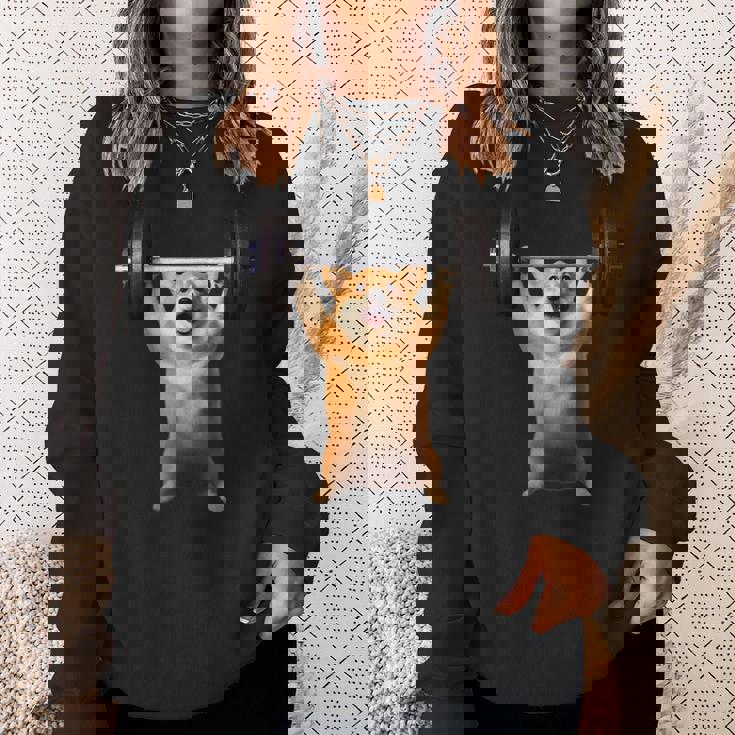 面白いtシャツ コーギー 犬 イヌ わんこ メンズ 犬好き グッズ かわいい 面白い 服 ネタ 筋トレ スウェットシャツ 彼女への贈り物