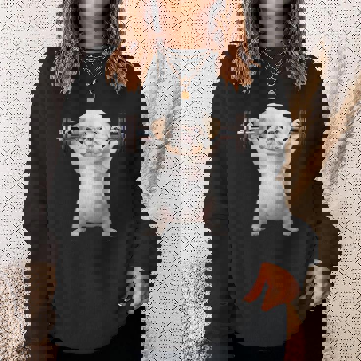 面白いtシャツ シーズー 犬 イヌ わんこ メンズ 犬好き グッズ かわいい 面白い 服 ネタ 筋トレ スウェットシャツ 彼女への贈り物