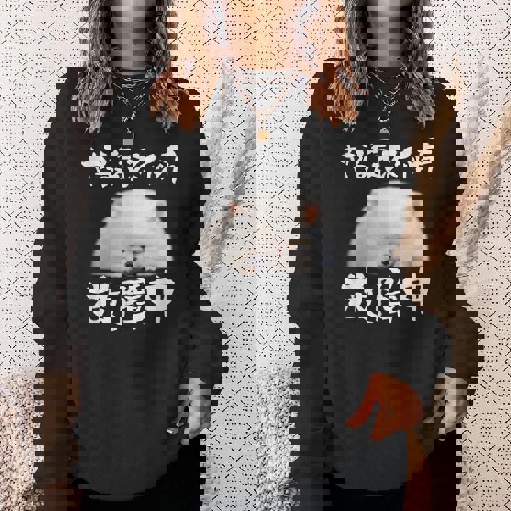 面白いtシャツ ポメラニアン やる気スイッチ イヌ メンズ 犬好き グッズ おもしろ 面白い 服 ネタ スウェットシャツ 彼女への贈り物