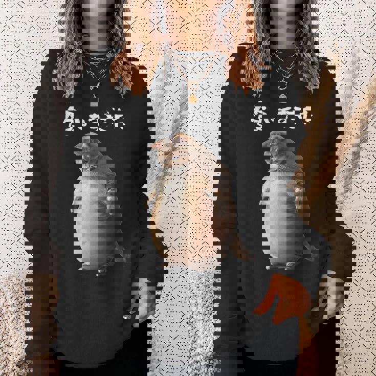 面白いtシャツ 猫 ネコ メンズ 猫好き グッズ おもしろ 面白い 服 ネタ にゃんこ 猫の下僕 ダイエット スウェットシャツ 彼女への贈り物