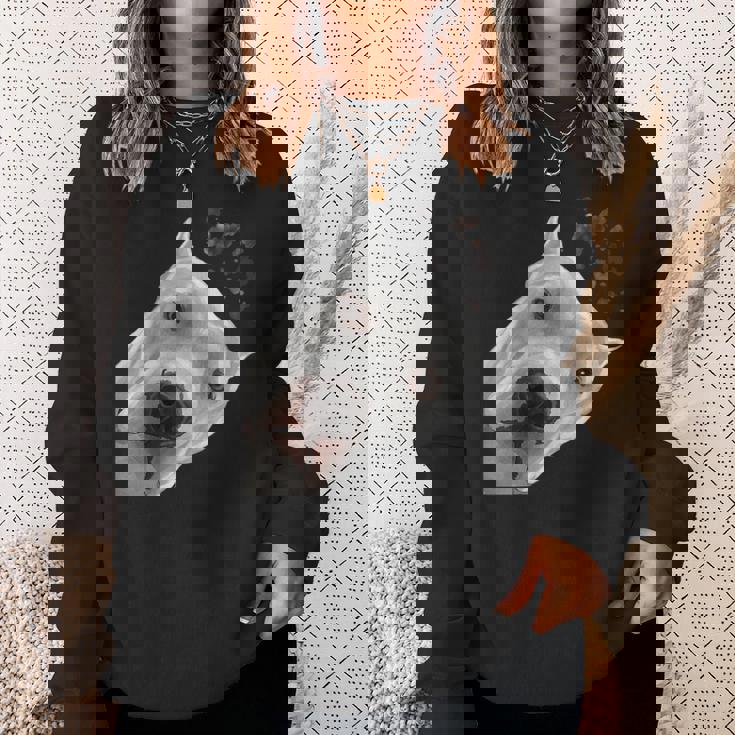 面白い好奇心旺盛な犬ドゴアルヘンティーノ スウェットシャツ 彼女への贈り物