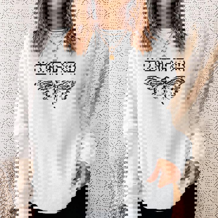 Cicada 3301 シャツ 面白い Cicadas Computer Geek スウェットシャツ 彼女への贈り物