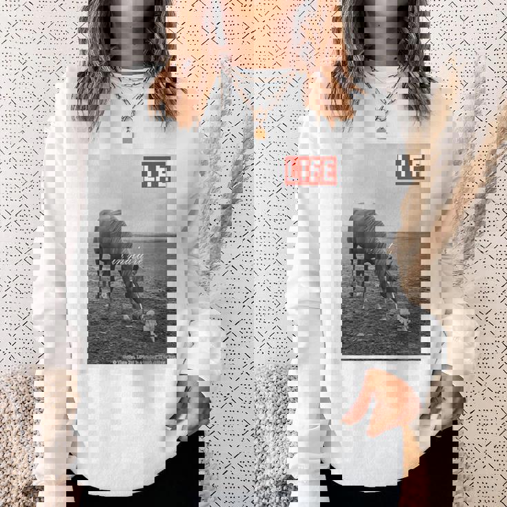 Life Picture Collection 馬と猫（1） スウェットシャツ 彼女への贈り物