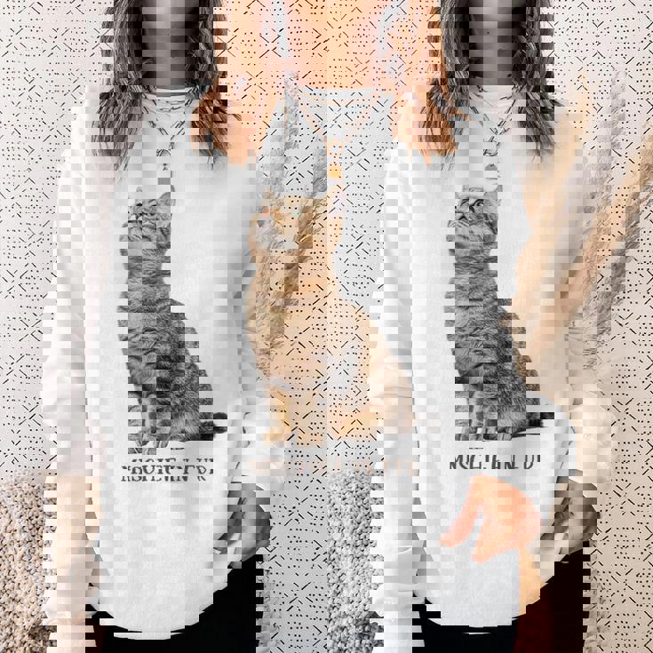 Mischief In Fur 猫写真 キジトラ 猫好き ネタ 猫しもべ 猫飼い 猫依存症 猫オーナー スウェットシャツ 彼女への贈り物