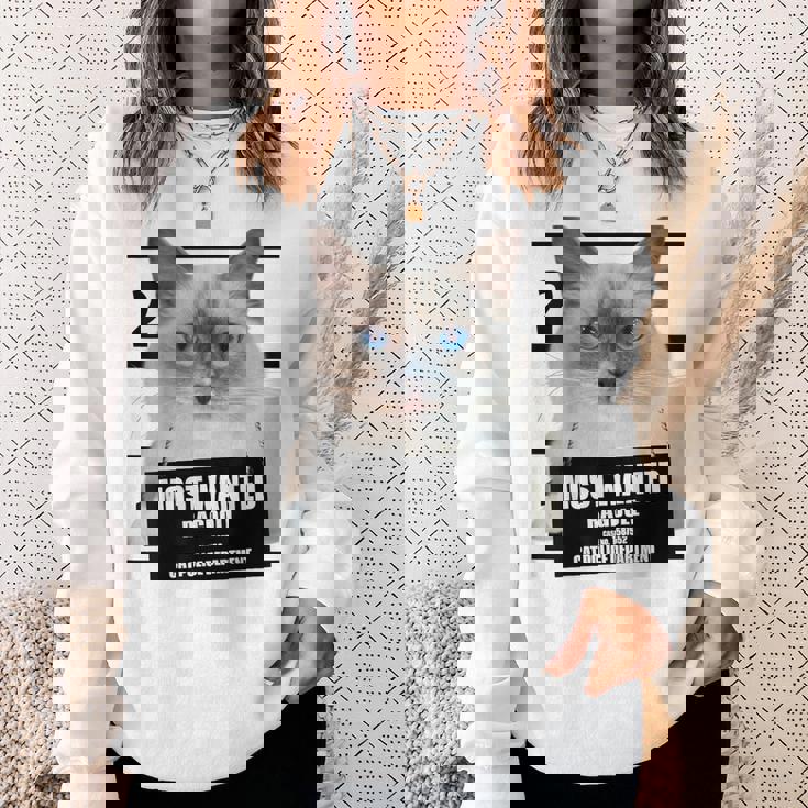 Most Wanted ラグドール ラグドール 猫 スウェットシャツ 彼女への贈り物