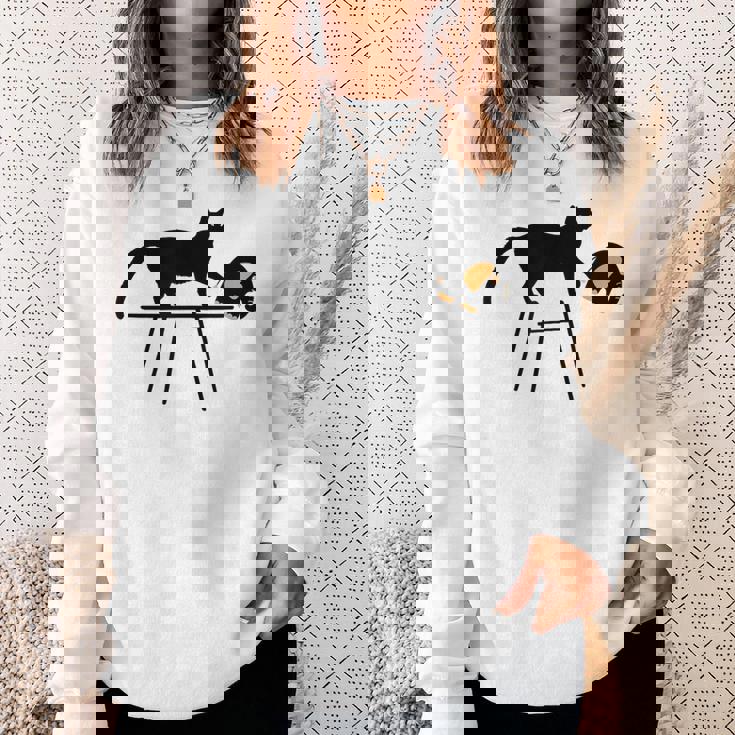 「おもしろいキャットレディが欲しい方法」に投票します スウェットシャツ 彼女への贈り物