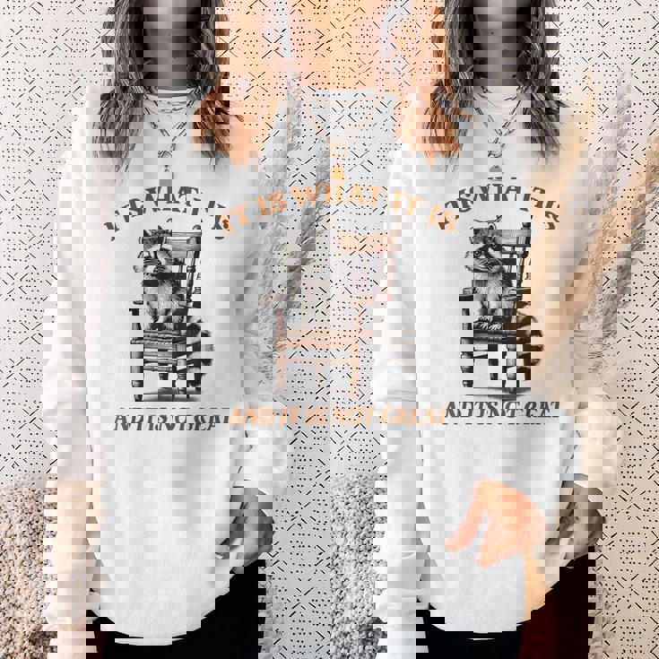 アライグマのミーム It's What It's And It Is Not Greatarcastic スウェットシャツ 彼女への贈り物