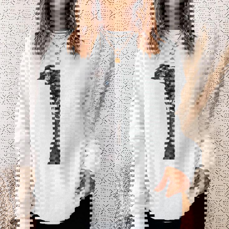 イタリアングレイハウンド 長袖tシャツ スウェットシャツ 彼女への贈り物