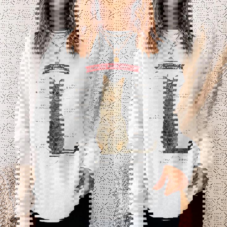 キジトラねこ、うずら 猫 キジトラ猫 鶉 かわいい Cat （ホワイト） スウェットシャツ 彼女への贈り物