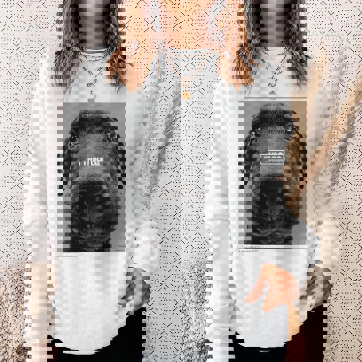 キッズ Artlist Collection The Dog ラブラドール・レトリーバー （キッズ） スウェットシャツ 彼女への贈り物