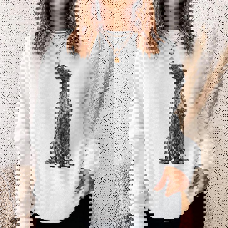 ドッグ・プロット・ハウンド スウェットシャツ 彼女への贈り物