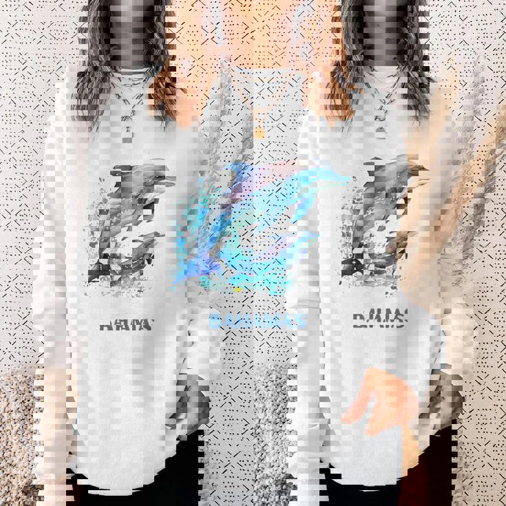 ドルフィン バケーション ヴィンテージ バハマ ビーチ デスティネーション スウェットシャツ 彼女への贈り物