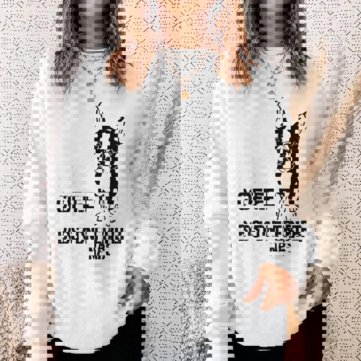 ボストンテリアtシャツ ボストンテリアシャツ レディース メンズ スウェットシャツ 彼女への贈り物