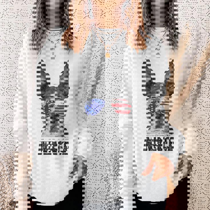 ボストン・テリア 7月4日 メリカ メンズ レディース アメリカ国旗 スウェットシャツ 彼女への贈り物