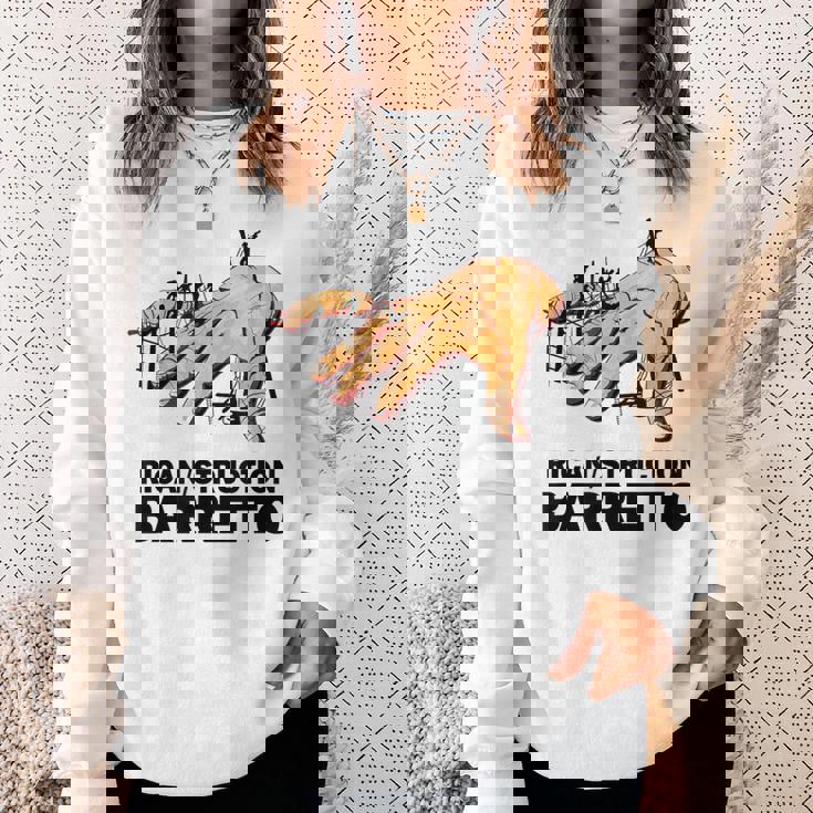 レイサルサデュラバレットリカンストラクションヴィンタンジュデファニア スウェットシャツ 彼女への贈り物