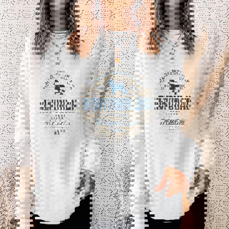 ヴィンテージ ニューファンドランド レトロ スウェットシャツ 彼女への贈り物