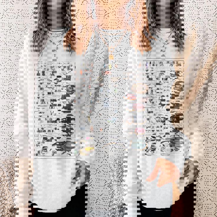 昆虫コレクション 種 虫 ビンテージ チャート 昆虫学 スウェットシャツ 彼女への贈り物