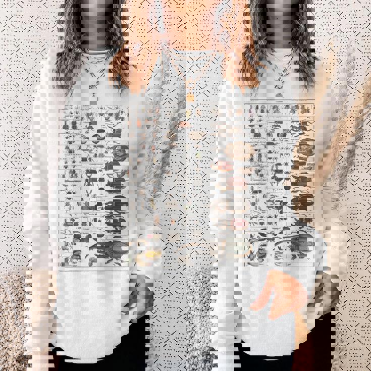 昆虫学者 昆虫学 昆虫 虫の種類 スウェットシャツ 彼女への贈り物