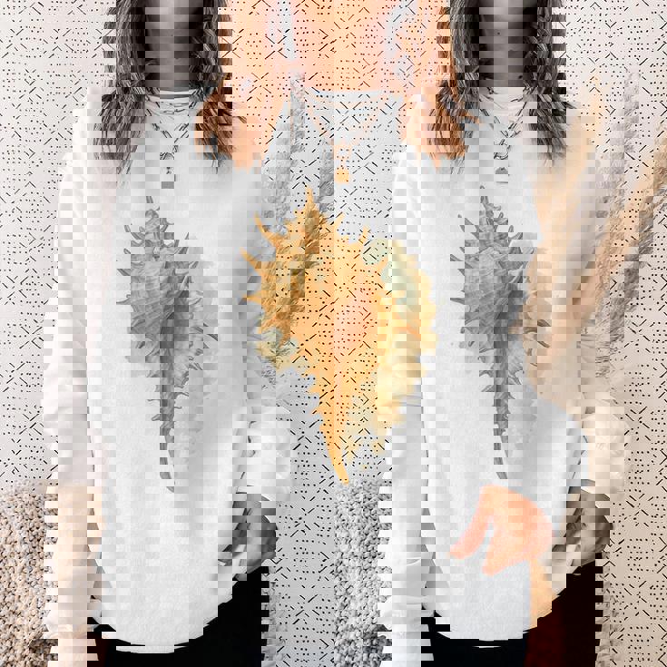 水彩 ムレックス 貝殻 貝殻 ハンティング ビーチコーミング スウェットシャツ 彼女への贈り物