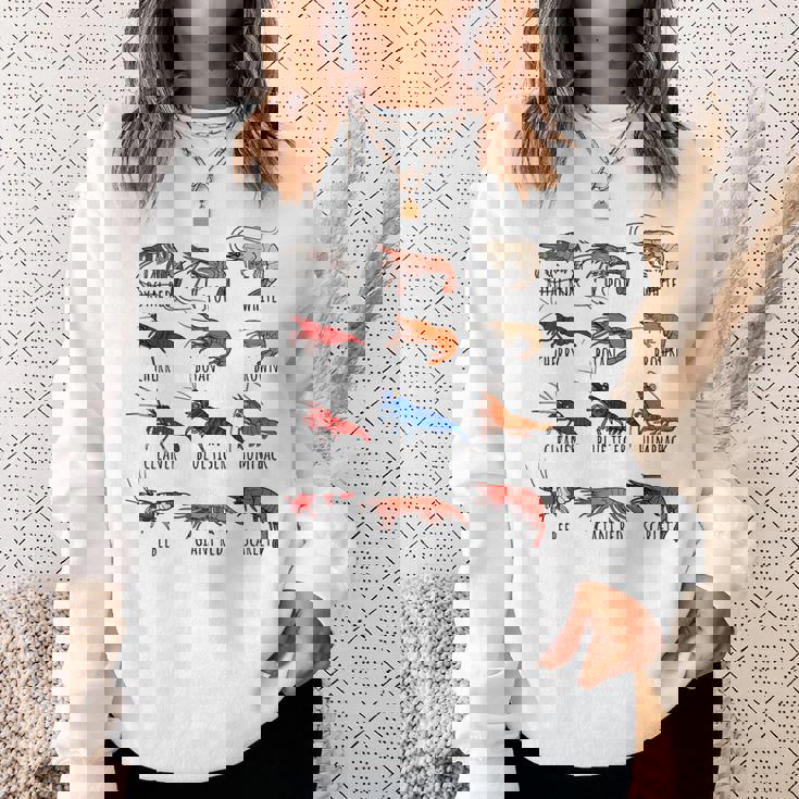 異なるタイプのエビの品種コレクション、かわいいエビ愛好家。 スウェットシャツ 彼女への贈り物