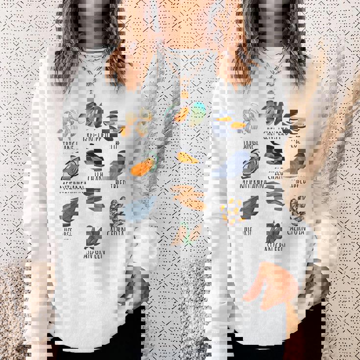 異なる種類のムール貝の品種コレクション、かわいいムール貝が大好き スウェットシャツ 彼女への贈り物