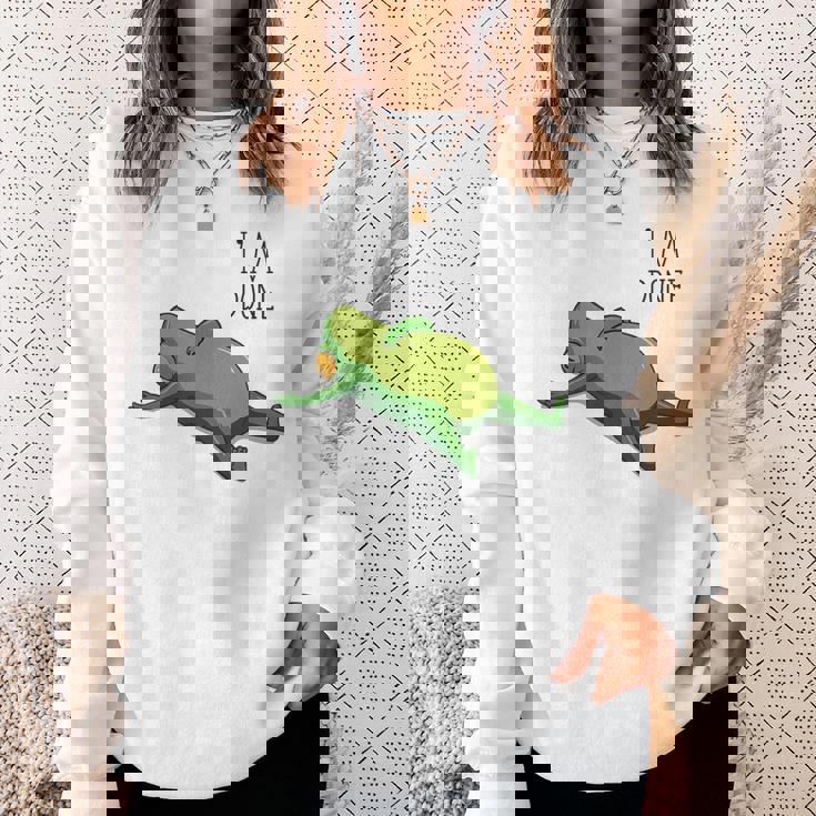 終わった、リラックスしているカエル、カエル好きの面白いカエル、カエル スウェットシャツ 彼女への贈り物