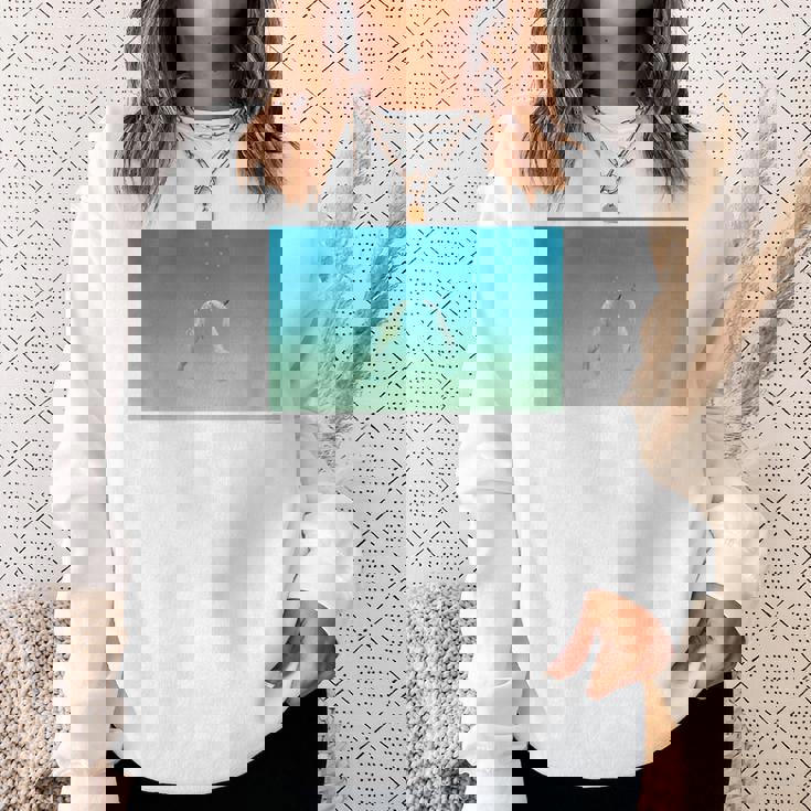 詩とメルヘン 葉祥明 ジェイクと海のなかまたち P27 スウェットシャツ 彼女への贈り物