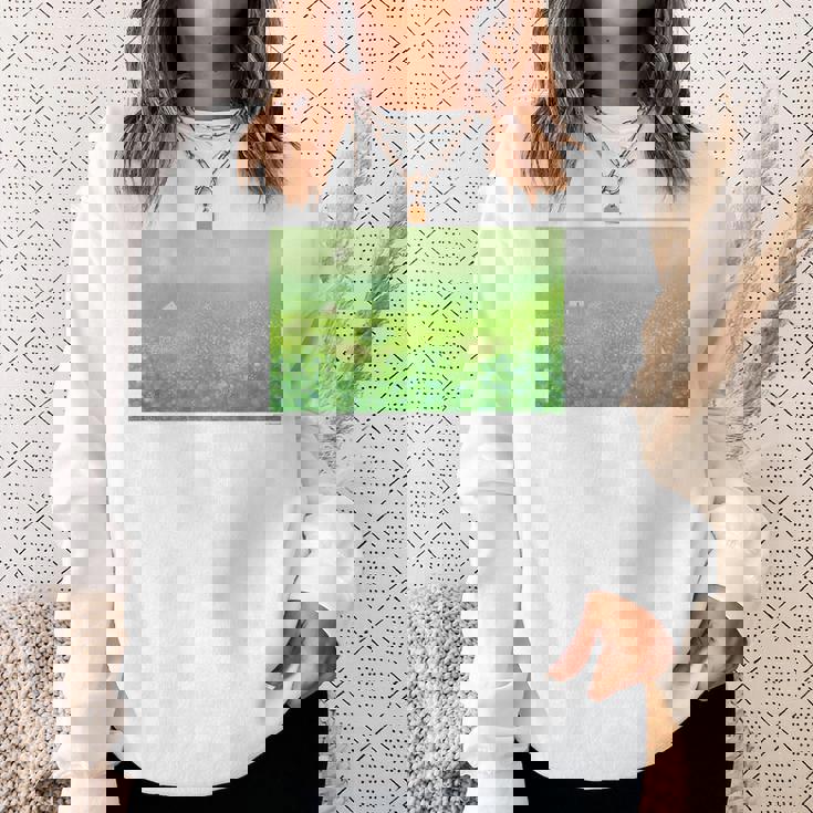 詩とメルヘン 葉祥明 妖精の棲む森 スウェットシャツ 彼女への贈り物