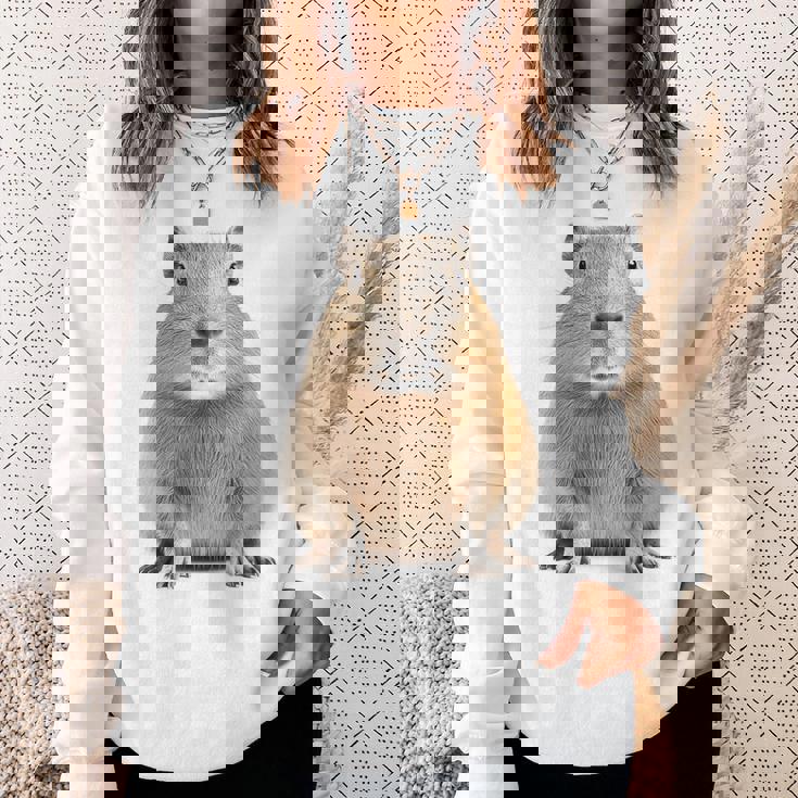 豚 ペット げっ歯類 動物愛好家 ギフト スウェットシャツ 彼女への贈り物