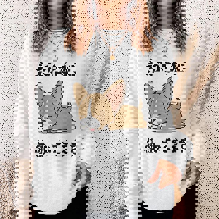 面白いtシャツ チワワ イヌ わんこ メンズ 犬好き グッズ おもしろ 面白い 服 ネタ わんこ スウェットシャツ 彼女への贈り物