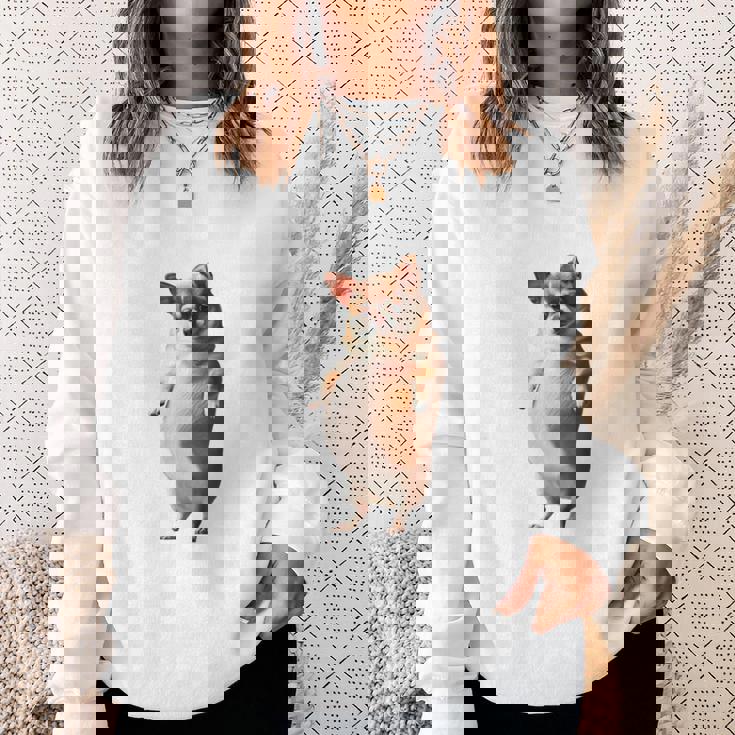 面白いtシャツ チワワ 犬 わがままボディ イヌ わんこ メンズ 犬好き グッズ おもしろ 面白い 服 ネタ 長袖tシャツ スウェットシャツ 彼女への贈り物