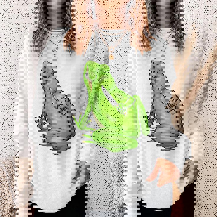 面白い邪悪なカエル サカラスティック 怒っているカエル かわいい 不機嫌な狂気 スウェットシャツ 彼女への贈り物