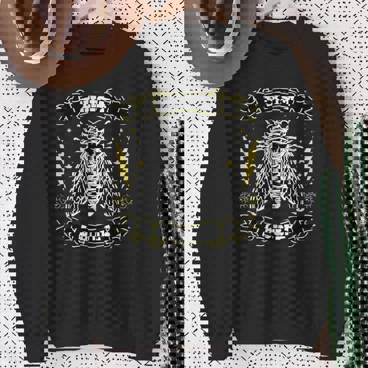 2024 セミツアー スワム バグフェスト Broods Xiii Xix Cicada Loud スウェットシャツ 年配の女性への贈り物