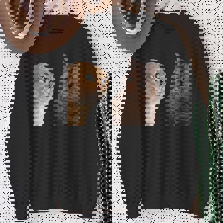 2匹の猫がミームを話す 長袖tシャツ スウェットシャツ 年配の女性への贈り物