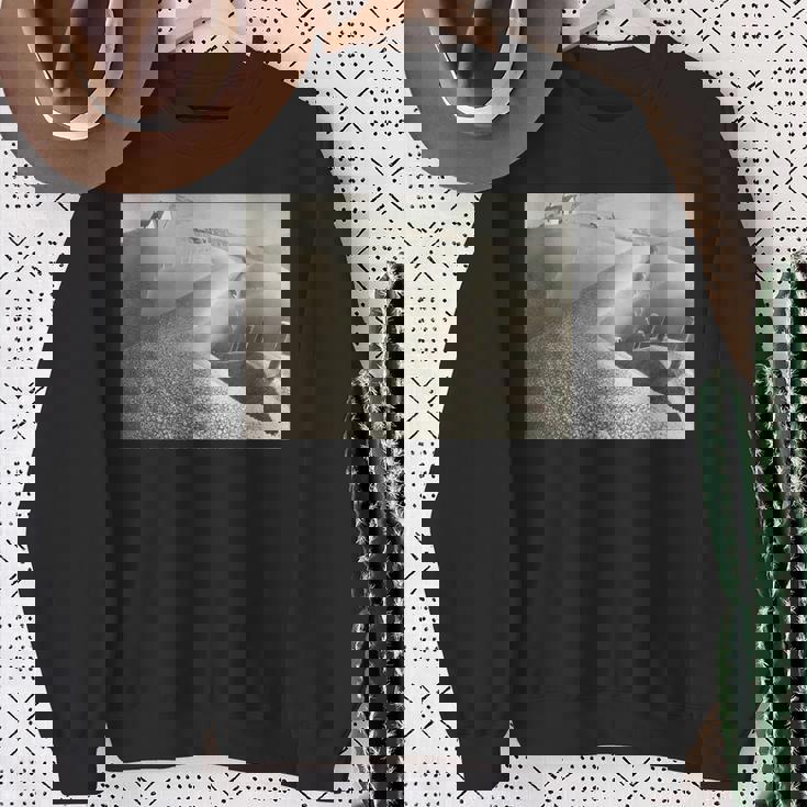 3月1939 スウェットシャツ 年配の女性への贈り物