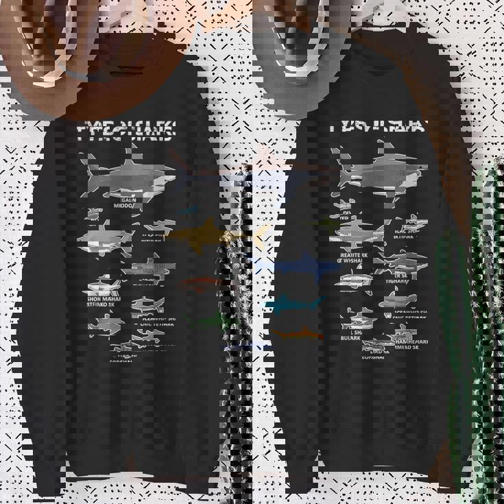 9種類のサメ教育カラフルな海英語 スウェットシャツ 年配の女性への贈り物