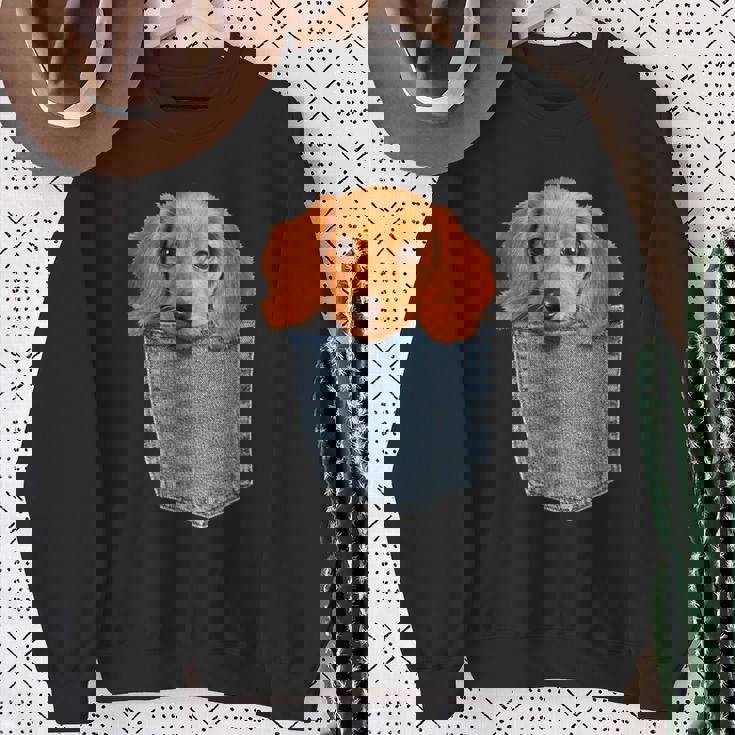 Beagle In My Pocket シャツ かわいい子犬 ダックスフンド ドッグシャツ スウェットシャツ 年配の女性への贈り物