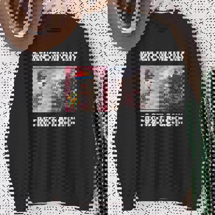 Born To Dilly Dally 強制的にロックインキャット ミーム スウェットシャツ 年配の女性への贈り物