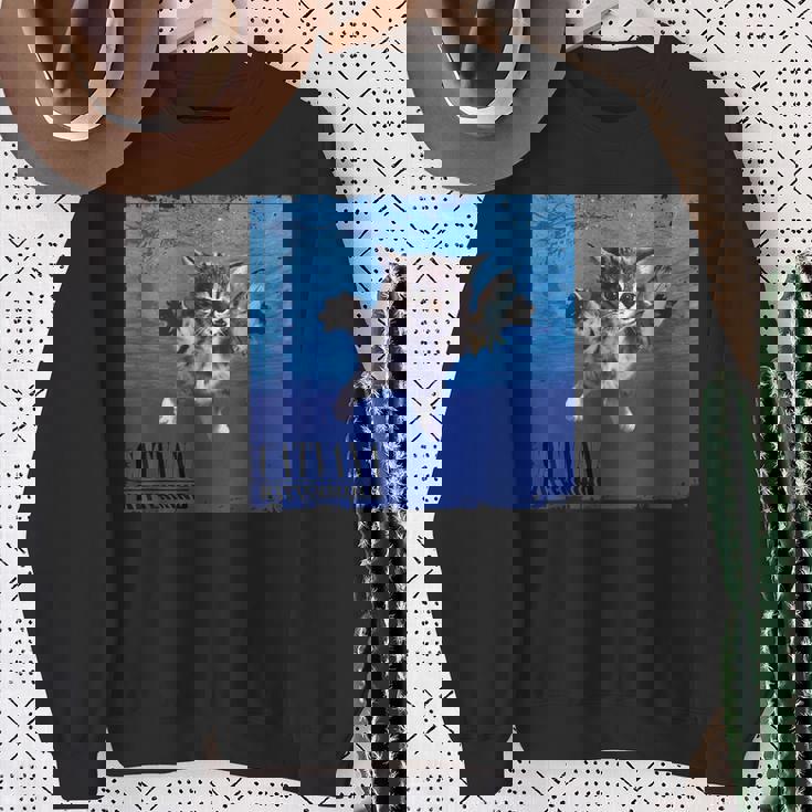 Cat Nevermind 子猫ニャーパロディ 面白い猫 動物好き スウェットシャツ 年配の女性への贈り物