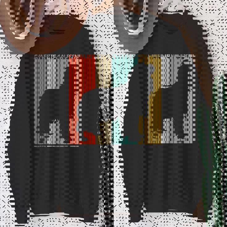 Cavalier King Charlespaniel キャバリア・キング・チャールズ・スパニエル スウェットシャツ 年配の女性への贈り物