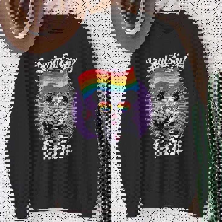 Cute Lgbtq Possum Holding Flag With Sounds Gay Quote Sweatshirt Gifts for Old Women