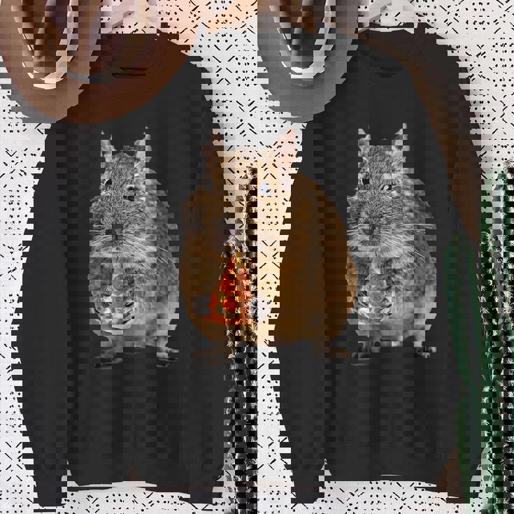 Degu Eating Alice Of Pizza スウェットシャツ 年配の女性への贈り物