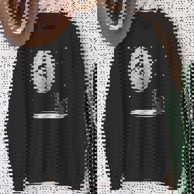 Fly Aerial ヨガハンモックシルク 星と月 猫 猫好き スウェットシャツ 年配の女性への贈り物