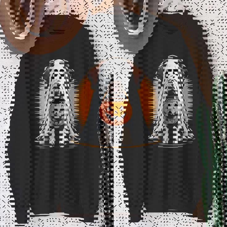 My Dog Is My Boo ハロウィン ゴーストドッグ メンズ レディース キッズ スウェットシャツ 年配の女性への贈り物