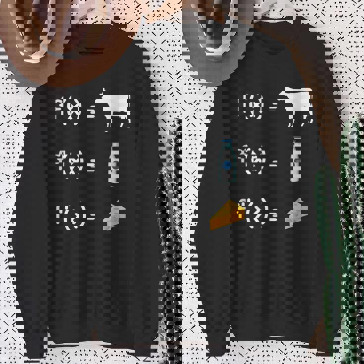 FX F'x F''x 関数 微分 微分積分 微分方程式 導関数 積分法 積分証明 数学好き スウェットシャツ 年配の女性への贈り物