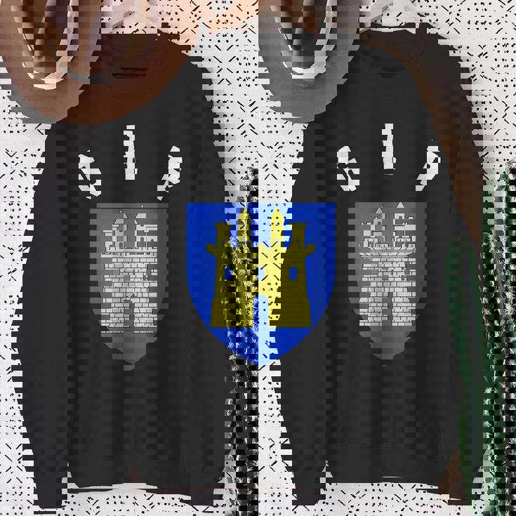 Gap Coat Of Arms 旗 フットボール スウェットシャツ 年配の女性への贈り物