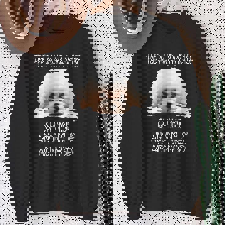 Maltese Dog Is On My Mind 面白い子犬オーナーデザイン スウェットシャツ 年配の女性への贈り物