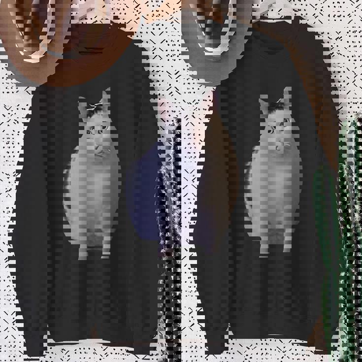 Meme Huh Catミームハァキャット面白い スウェットシャツ 年配の女性への贈り物