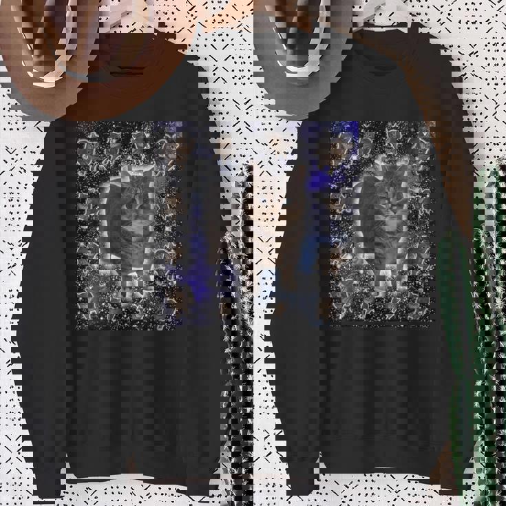 Oiiaa Oiiaa Cat Brainrotiralpining Cat Meme スウェットシャツ 年配の女性への贈り物