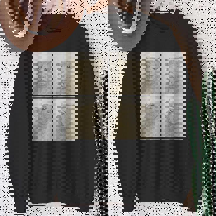 Photobooth おもしろ動物ネズミヴィンテージ自撮り写真撮影 スウェットシャツ 年配の女性への贈り物